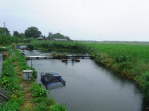 小見川の風景